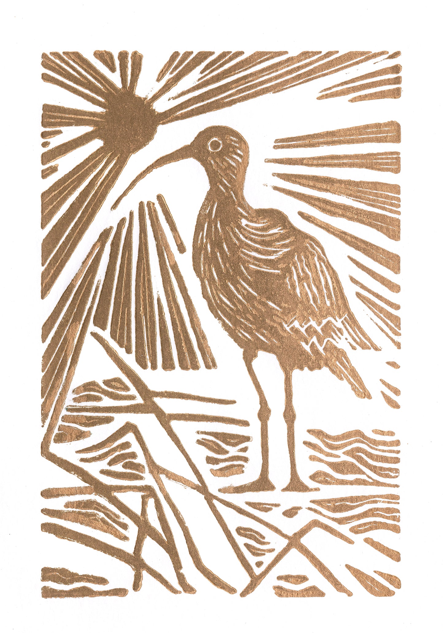 The Golden Curlew