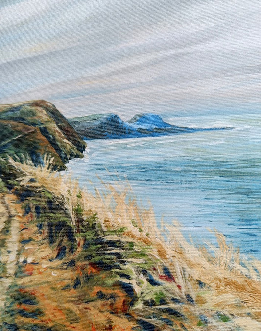 4 pack of Seascape Cards